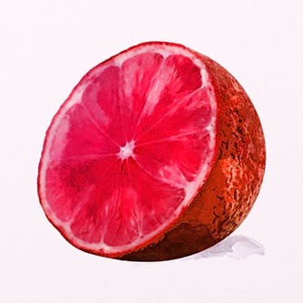 chime-fruit-wildlands-wiki